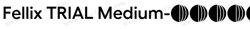 Fellix TRIAL Medium字体转换